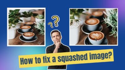 object-fit - how to fix a squashed image