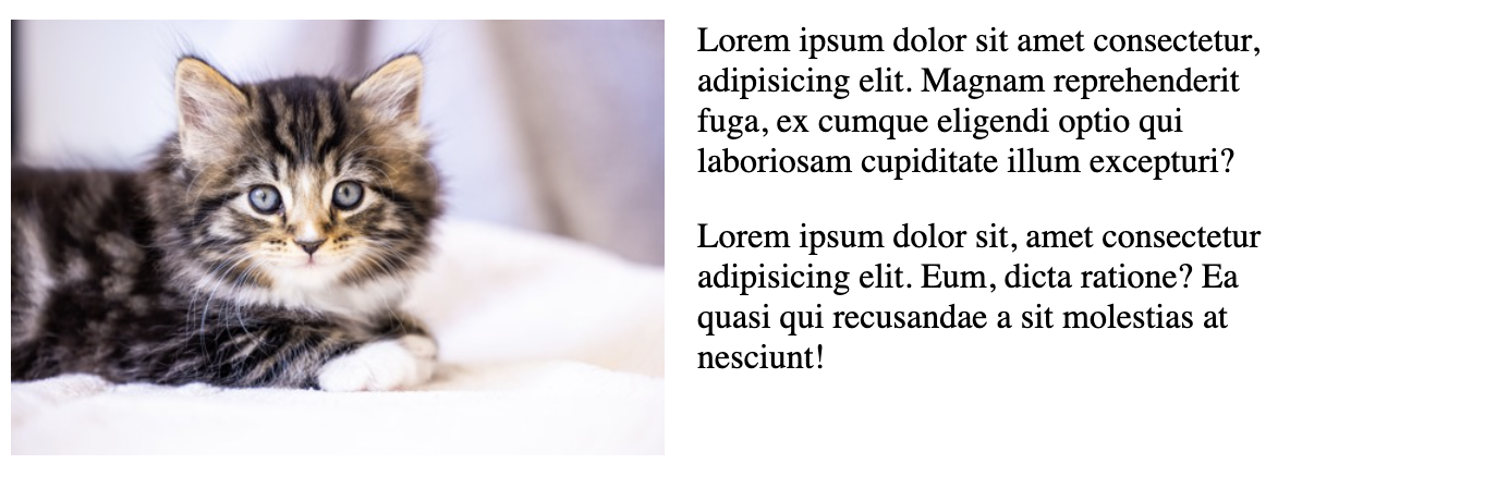 text wrap around an image element